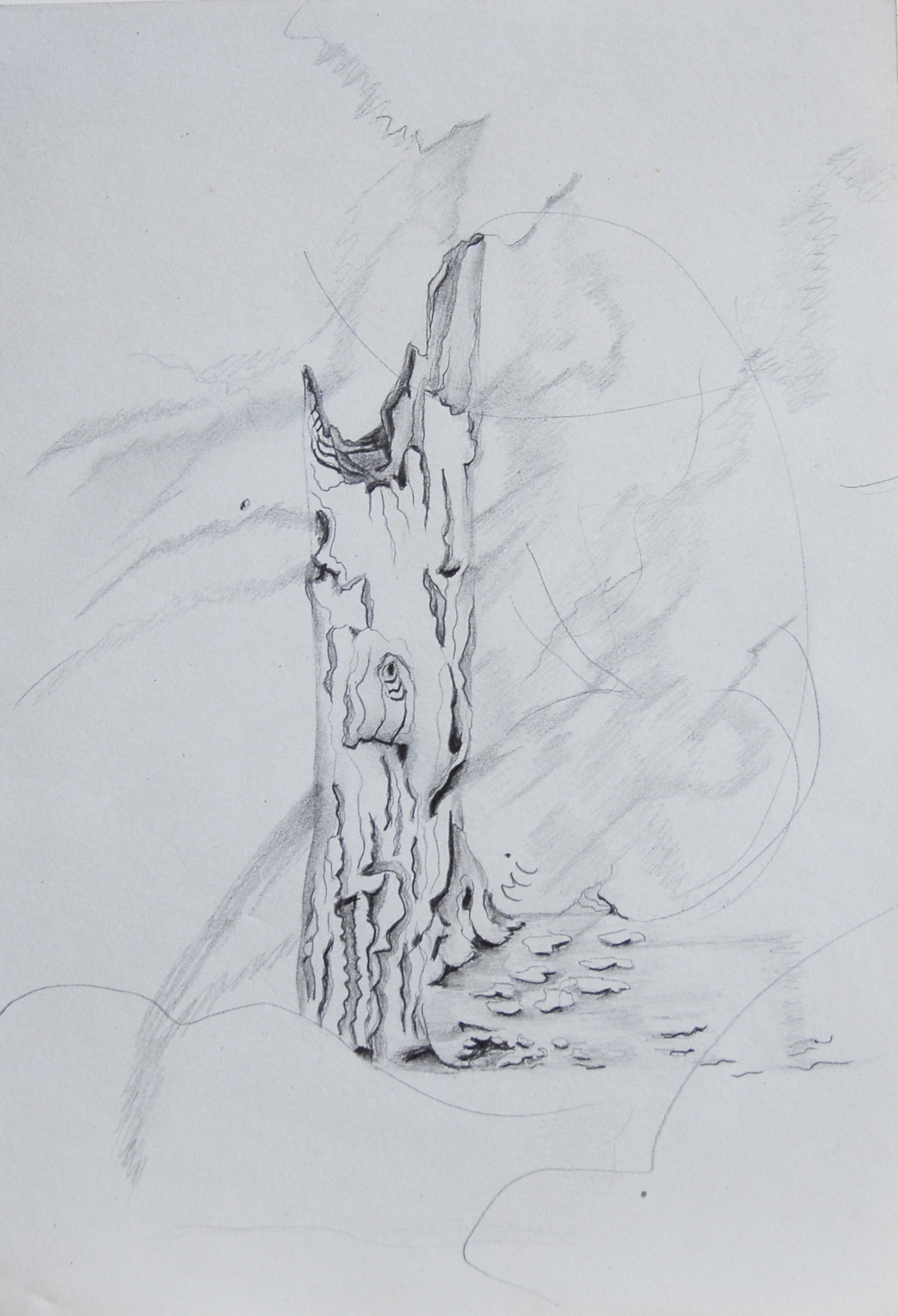 148 - L'ARBRE-CHEVAL crayon 14,7 x 21 