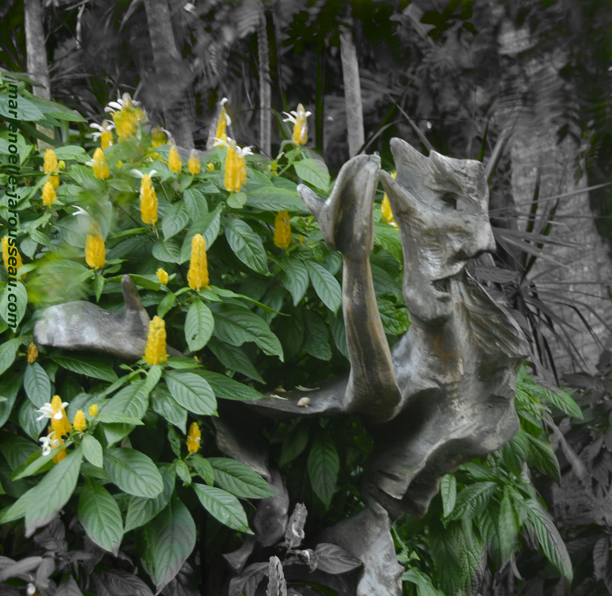 Tête  de  bois  et  Fleurs