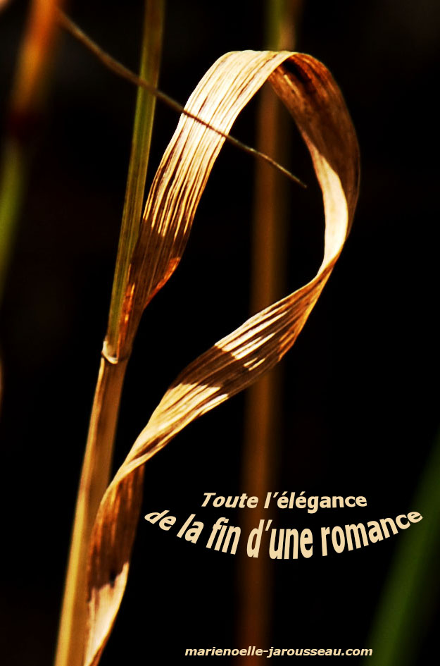 romance et élégance