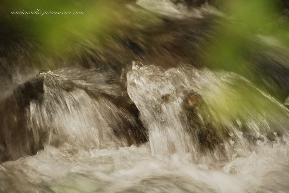 marmotte ? phoque ? cascade de rivière ? ... ? ... ? 