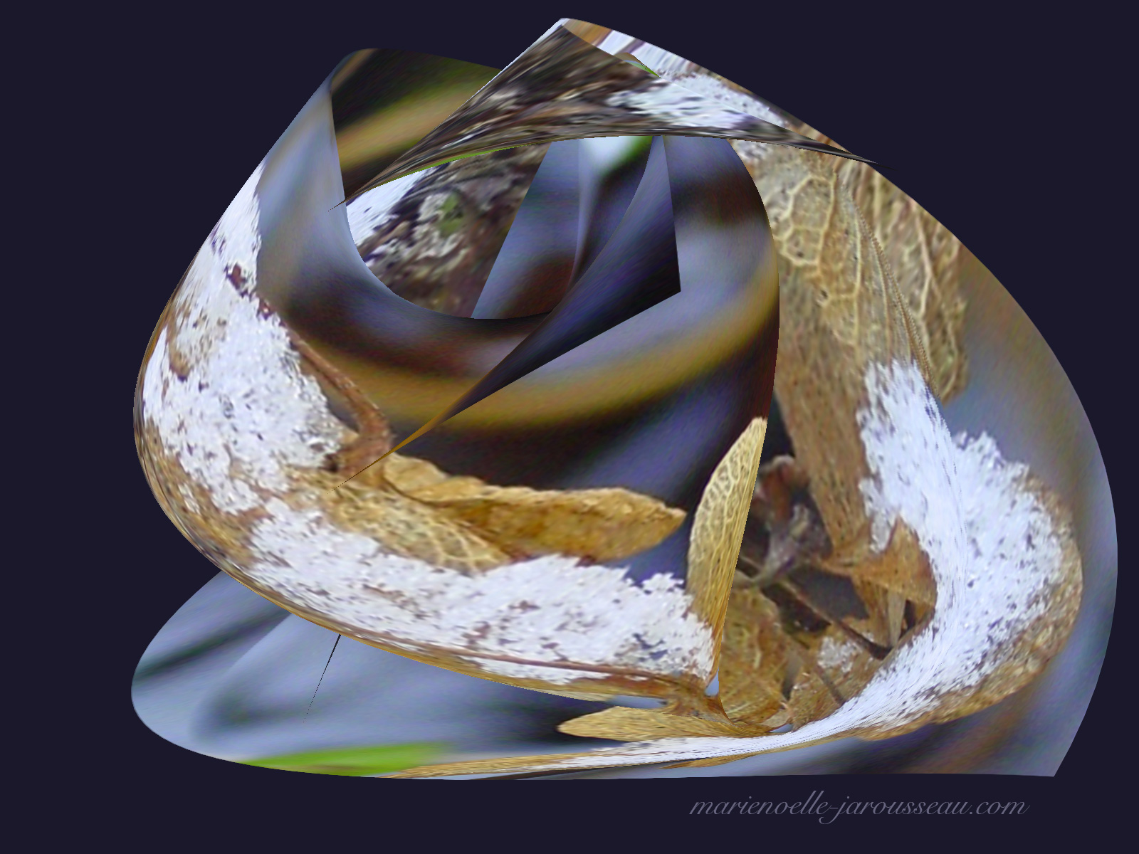 feuille d'abeille grenouille