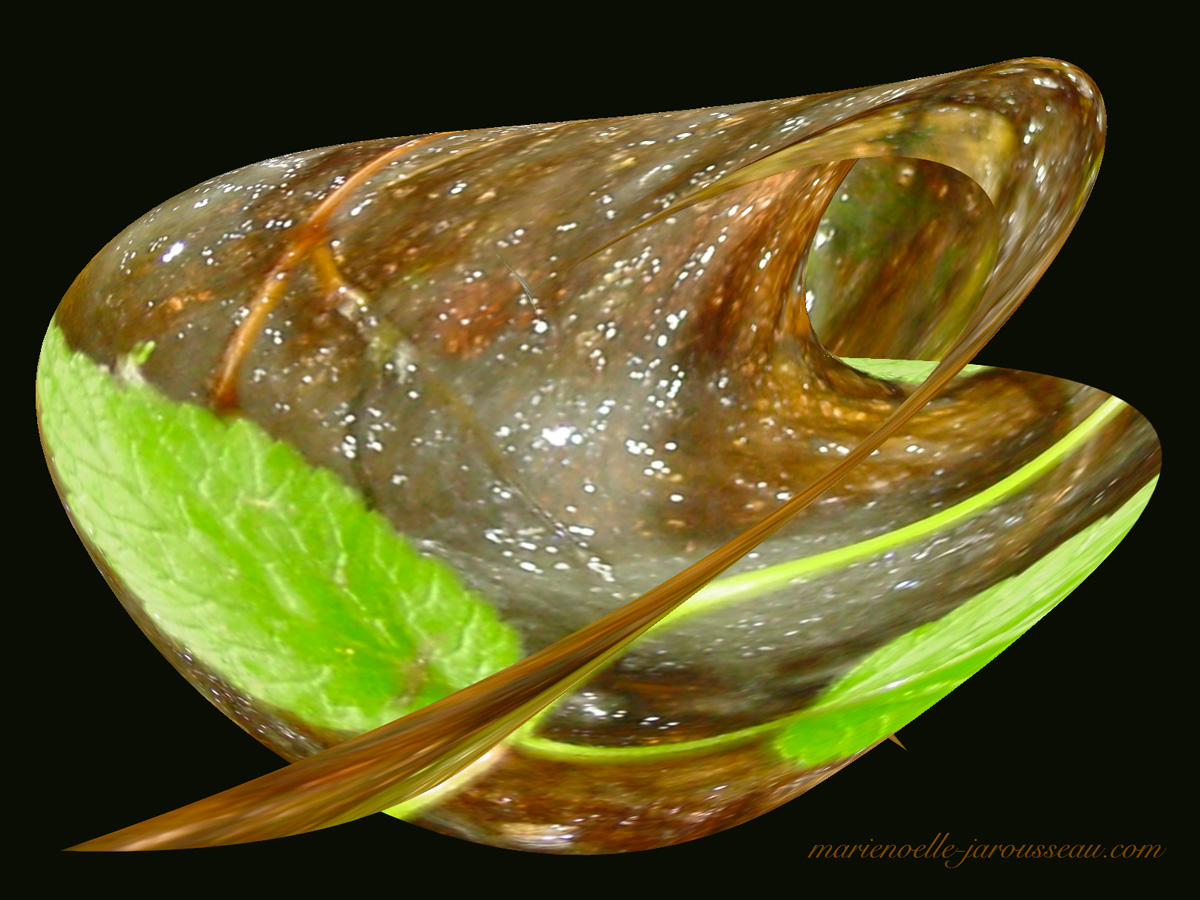 feuille verte d'eau