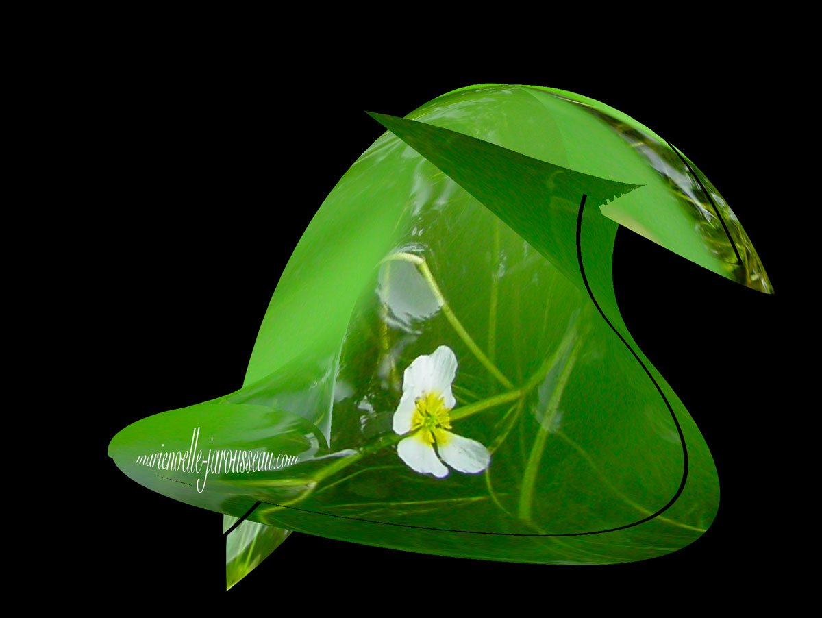 fleur-d-Etre-&sign-web fleur d'Etre